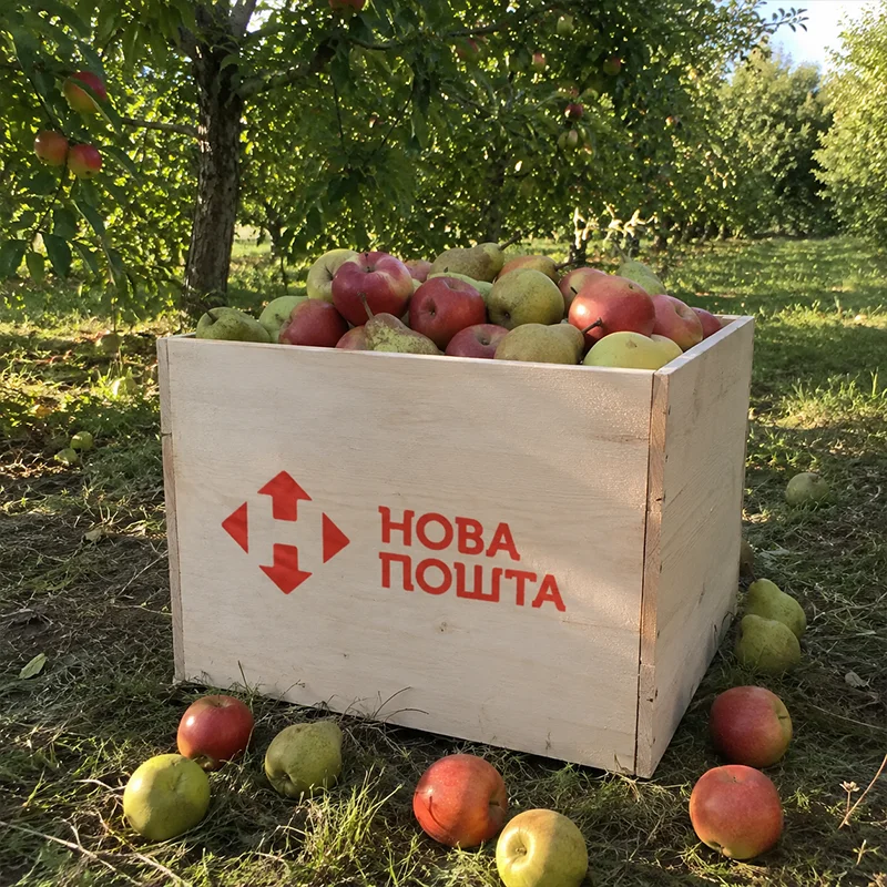 Коробка з яблуками в саду